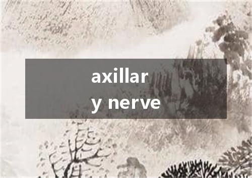 axillary nerve是什么意思