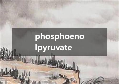 phosphoenolpyruvate是什么意思