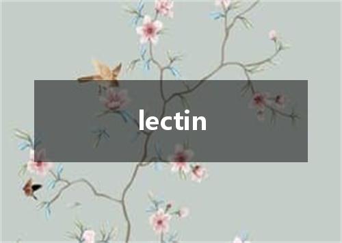 lectin是什么意思