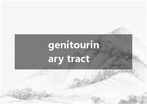 genitourinary tract是什么意思