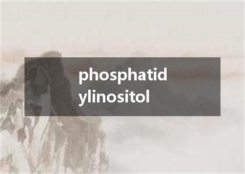 phosphatidylinositol是什么意思