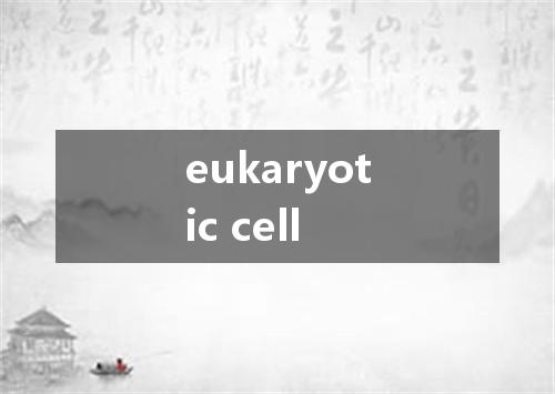 eukaryotic cell是什么意思