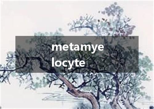 metamyelocyte是什么意思