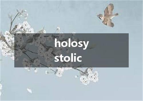 holosystolic是什么意思