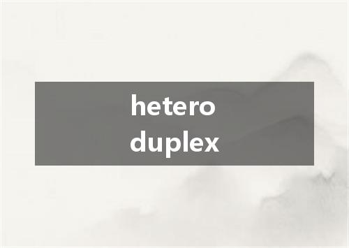 heteroduplex是什么意思