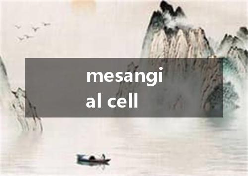 mesangial cell是什么意思