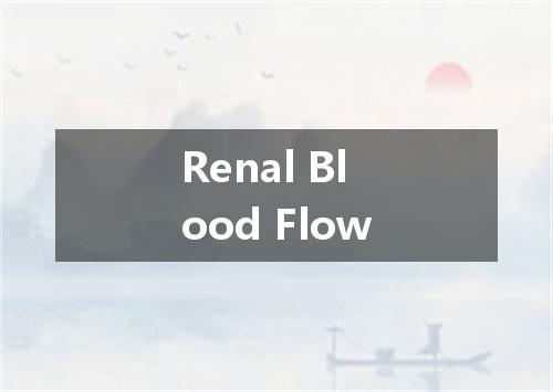 Renal Blood Flow是什么意思