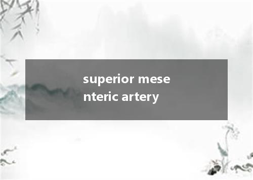 superior mesenteric artery是什么意思
