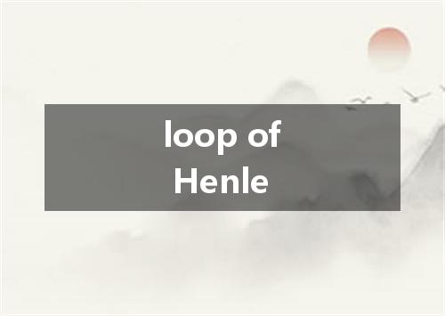 loop of Henle是什么意思