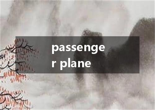 passenger plane是什么意思