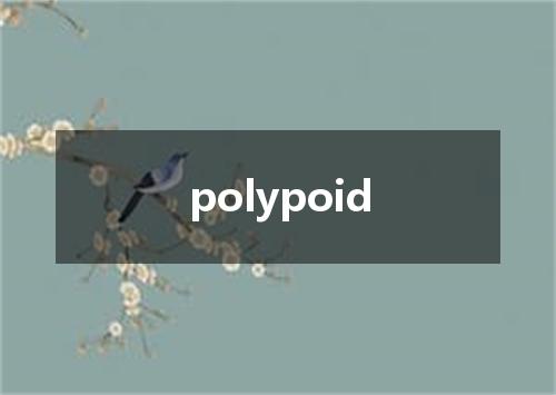 polypoid是什么意思