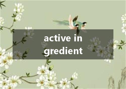 active ingredient是什么意思