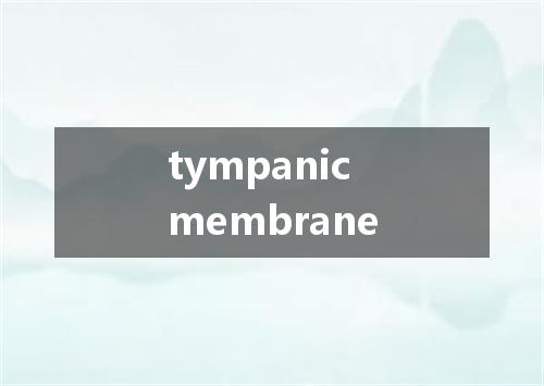 tympanic membrane是什么意思