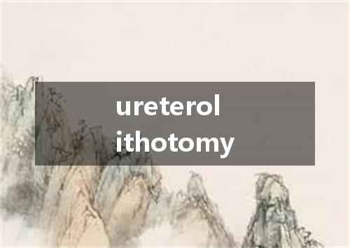 ureterolithotomy是什么意思
