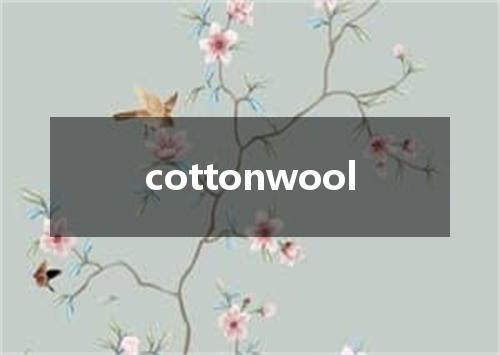 cottonwool是什么意思