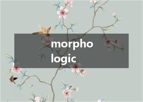 morphologic是什么意思