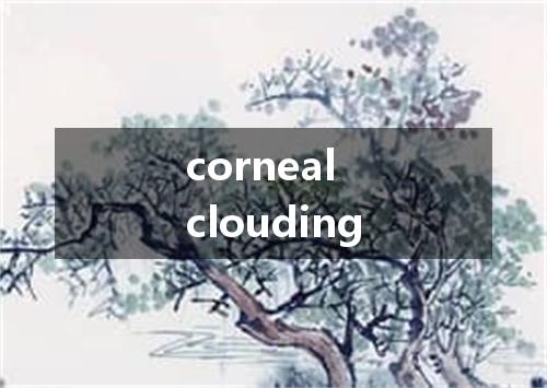 corneal clouding是什么意思
