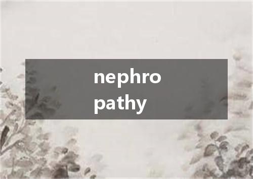 nephropathy是什么意思