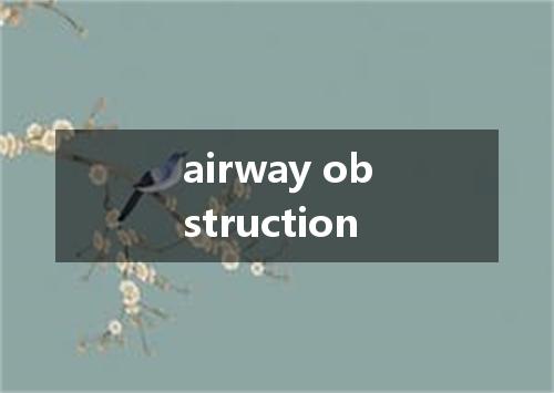 airway obstruction是什么意思