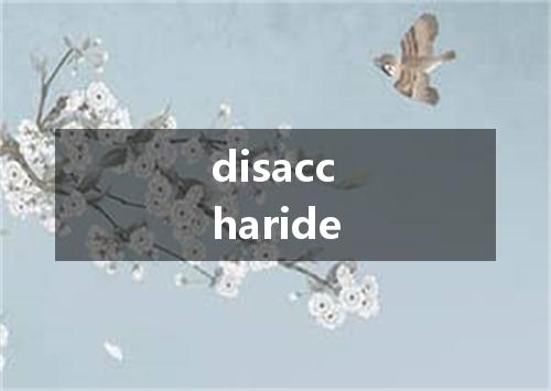 disaccharide是什么意思