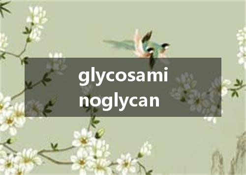 glycosaminoglycan是什么意思