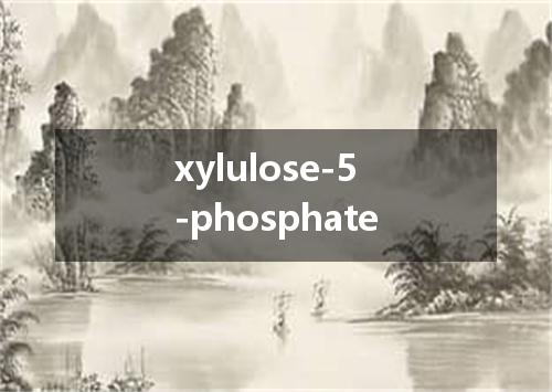 xylulose-5-phosphate是什么意思