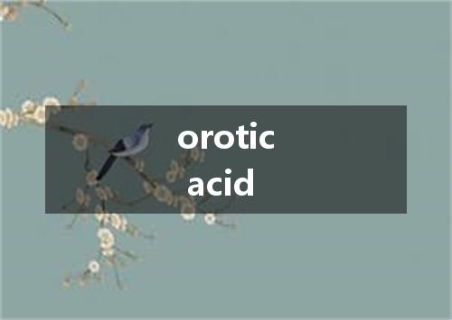 orotic acid是什么意思
