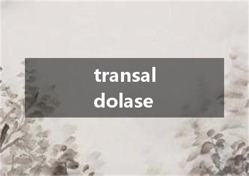 transaldolase是什么意思