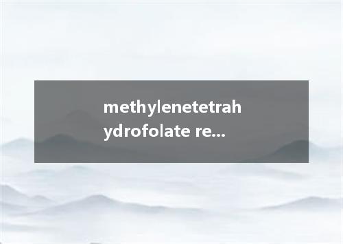 methylenetetrahydrofolate reductase是什么意思