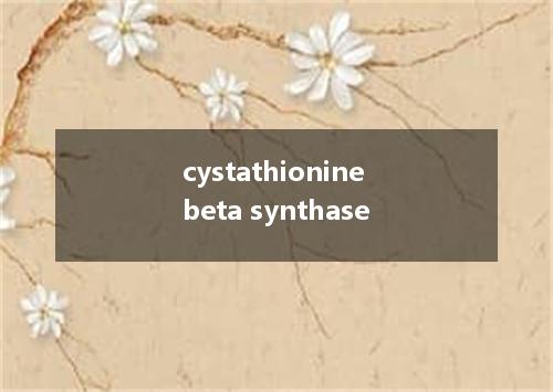 cystathionine beta synthase是什么意思