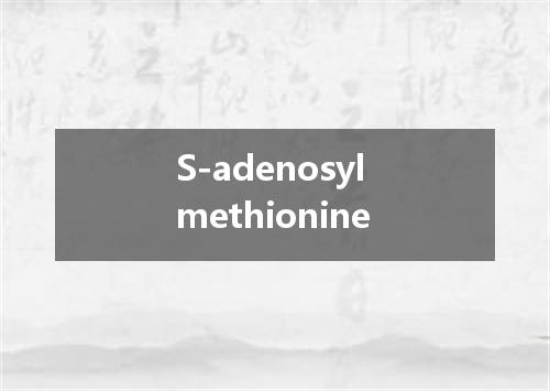 S-adenosyl methionine是什么意思