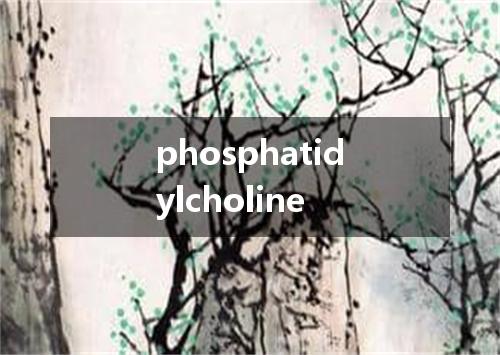 phosphatidylcholine是什么意思