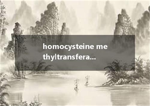 homocysteine methyltransferase是什么意思