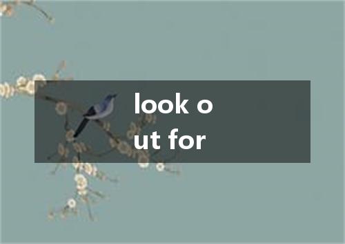 look out for是什么意思