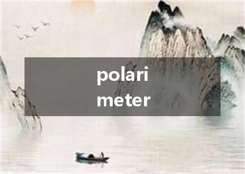 polarimeter是什么意思
