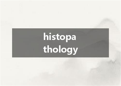 histopathology是什么意思