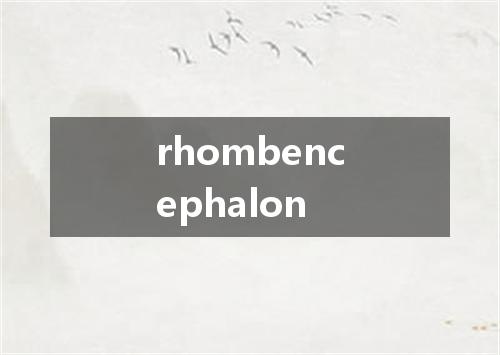 rhombencephalon是什么意思