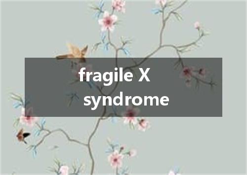 fragile X syndrome是什么意思