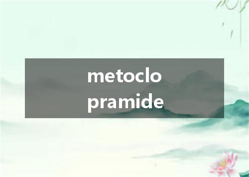 metoclopramide是什么意思
