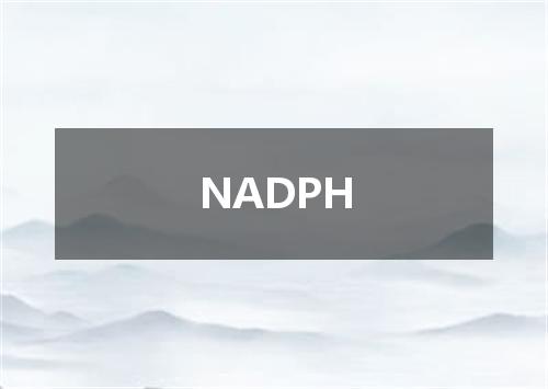 NADPH是什么意思