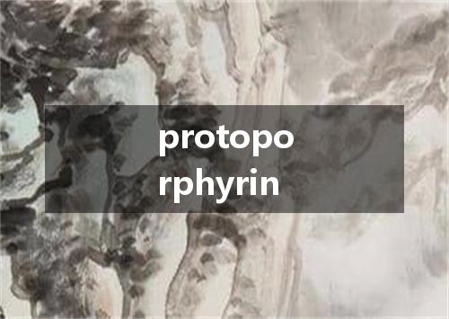 protoporphyrin是什么意思