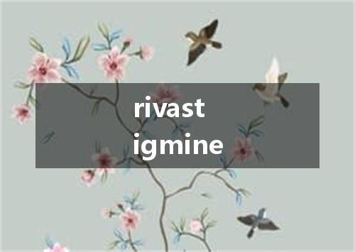 rivastigmine是什么意思