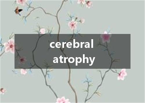 cerebral atrophy是什么意思