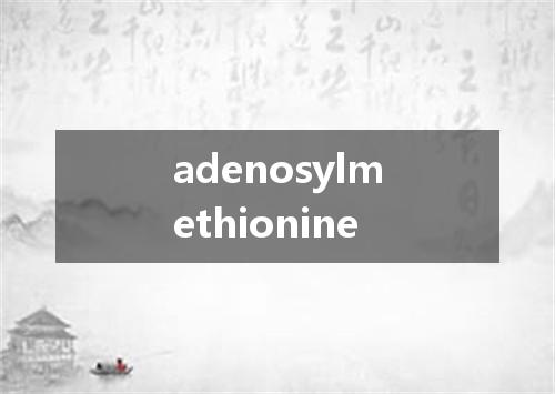 adenosylmethionine是什么意思