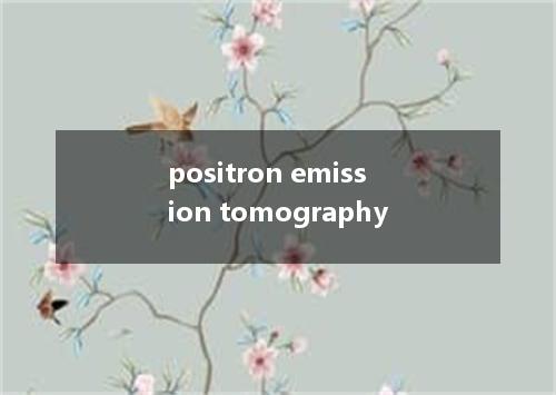 positron emission tomography是什么意思
