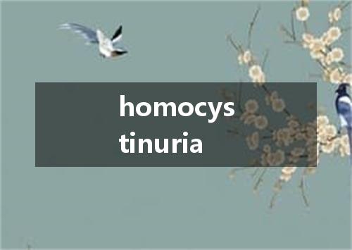 homocystinuria是什么意思