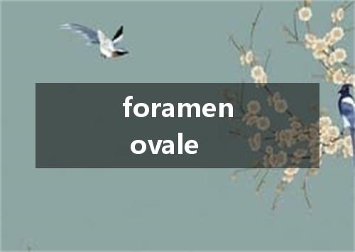 foramen ovale是什么意思