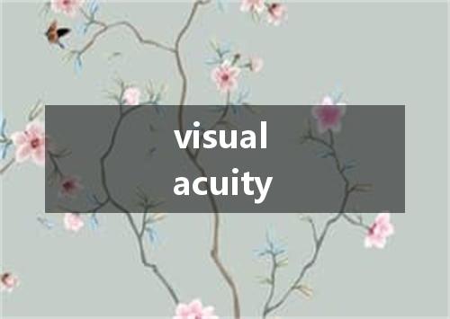 visual acuity是什么意思