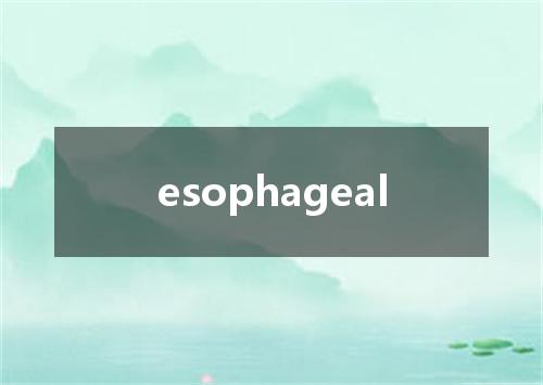 esophageal是什么意思