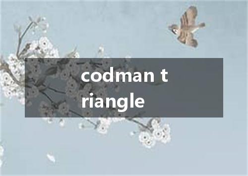 codman triangle是什么意思